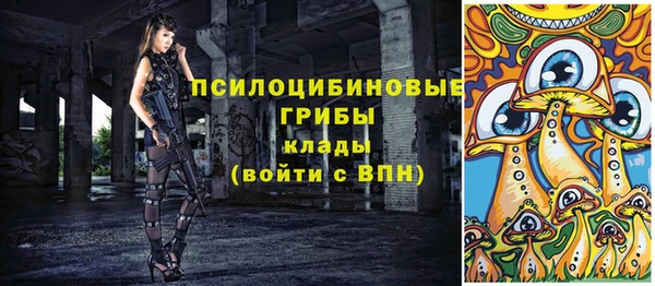 МДПВ Абинск