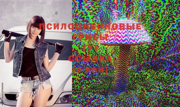 spice Абдулино
