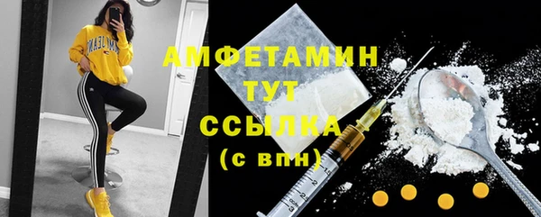 стаф Абаза