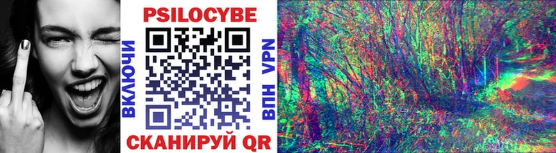 Галлюциногенные грибы Magic Shrooms  darknet как зайти  Александров 